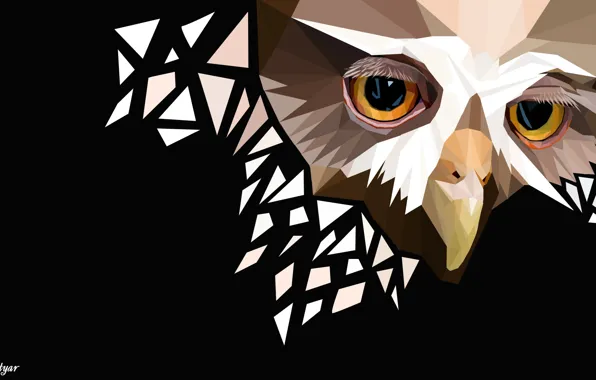 Picture owl, sad face, polygon graphics