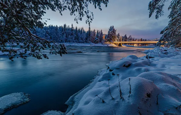 Picture lights, forest, river, bridge, night, winter