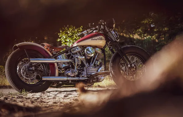 Picture Custom, Motorcycle, Bobber, Thunderbike, By Thunderbike, Uncle Pan