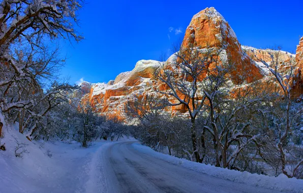 Picture winter, road, snow, trees, mountains, Utah, Zion National Park, Utah, Zion national Park