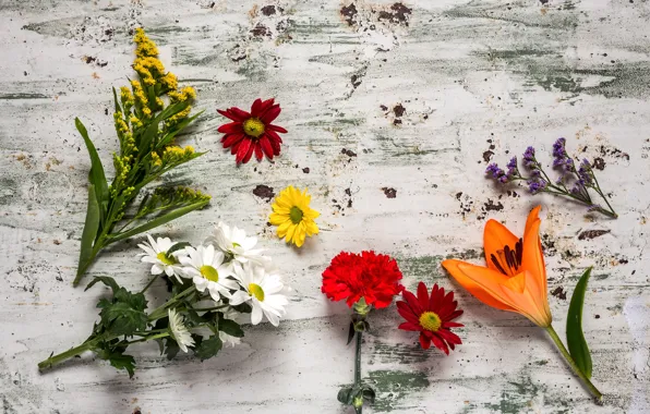 Picture flowers, colorful, wood, flowers, composition, floral