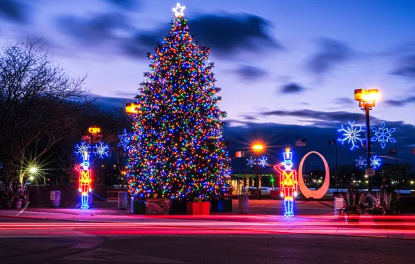 Picture Christmas, lights, New year, tree, decoration, Michigan, Бей-Сити, Bay City