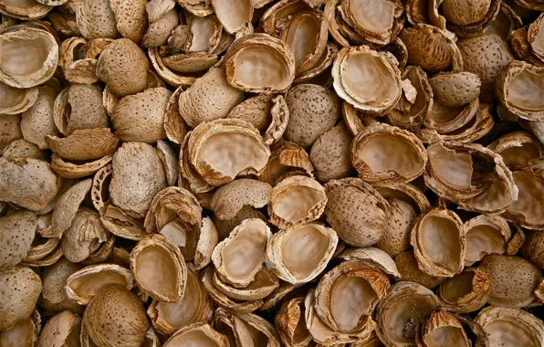 Picture walnut, Background, Texture, Almonds
