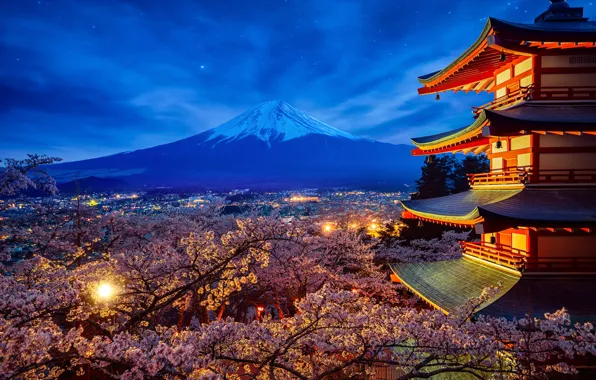 Picture the sky, trees, landscape, night, nature, mountain, spring, stars, the volcano, Japan, Sakura, lighting, temple, …