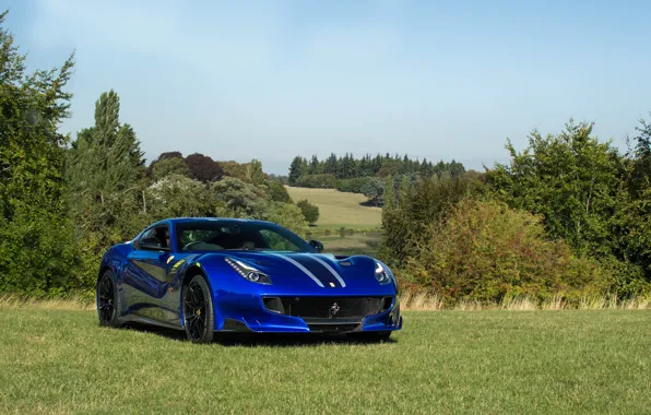 Picture Blue, Trees, F12 TDF