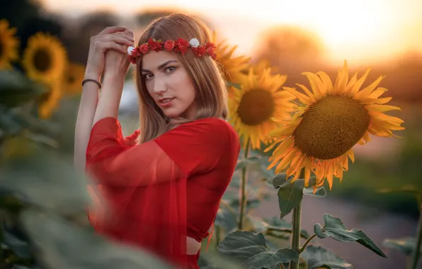 Picture girl, sunflowers, Natalia