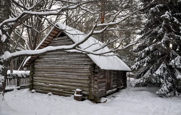 Picture winter, forest, snow, trees, hut, village, house, house, hut, forest, landscape, winter, snow, countryside, hut