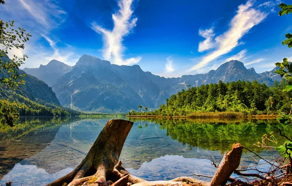 Picture forest, mountains, lake, reflection, Austria, Alps, Austria, Alps, driftwood, Almsee, Lake Else, Lake Alm, Lake …