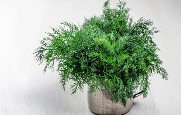 Picture greens, dill, mug