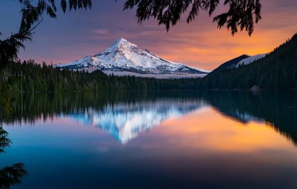 Picture forest, sunset, lake, reflection, mountain, Oregon, Oregon, Mount Hood, The cascade mountains, Cascade Range, Lake …