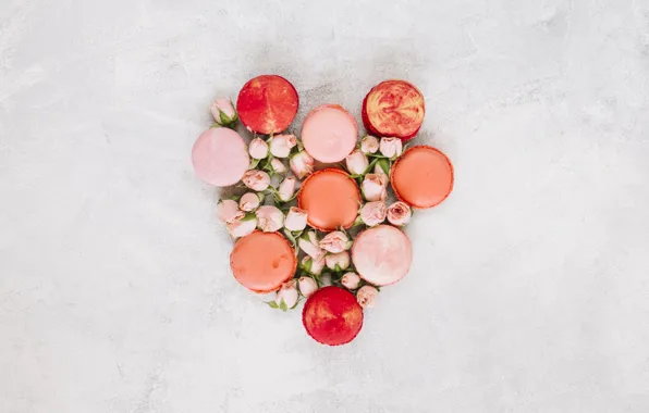 Picture flowers, roses, colorful, buds, pink, flowers, cakes, roses, macaroon, macaron, macaroon