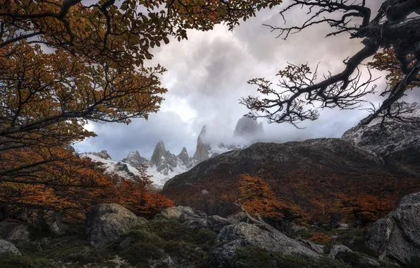 Picture trees, mountains, branches, nature, stones, Autumn, South America