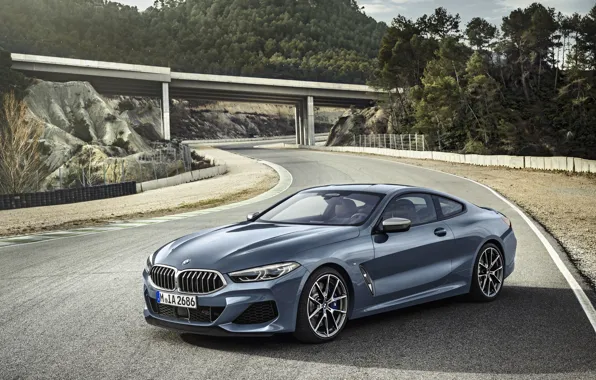 Picture road, coupe, BMW, Coupe, 2018, gray-blue, 8-Series, pale blue, M850i xDrive, Eight, G15