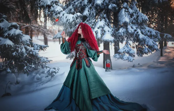 Picture winter, forest, girl, snow, trees, nature, bird, dress, lantern, Александра Шимолина, снеГирь