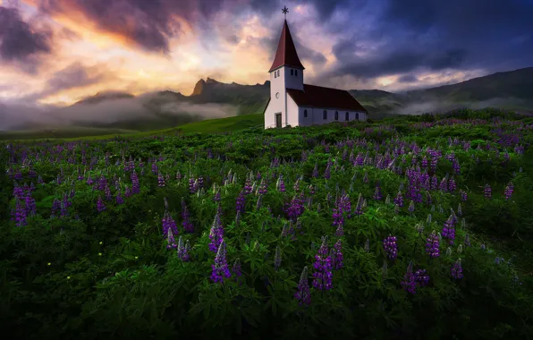 Picture nature, Iceland, Church of Vik