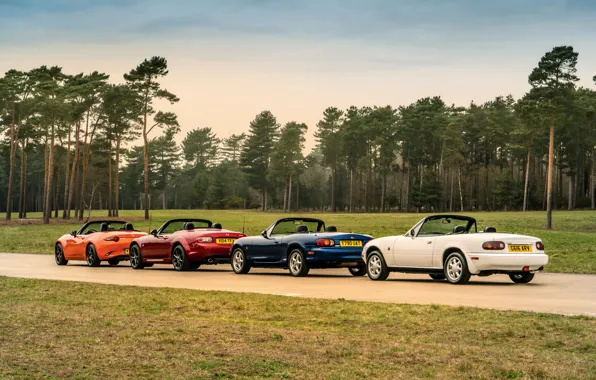 Picture Mazda, MX-5, in a row, roadsters, four generations (NA-NB-NC-ND)