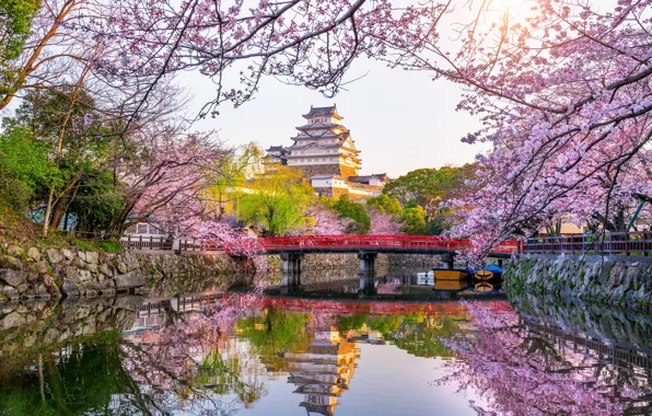Picture Park, spring, Japan, Sakura, Japan, flowering, blossom, park, sakura, cherry, spring, castle, Himeji
