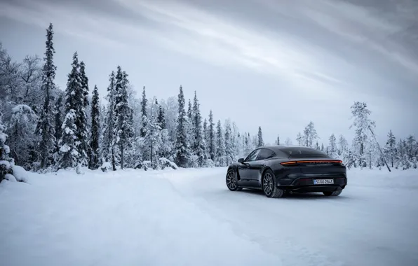 Picture winter, road, forest, snow, black, Porsche, 2020, Taycan, Taycan 4S