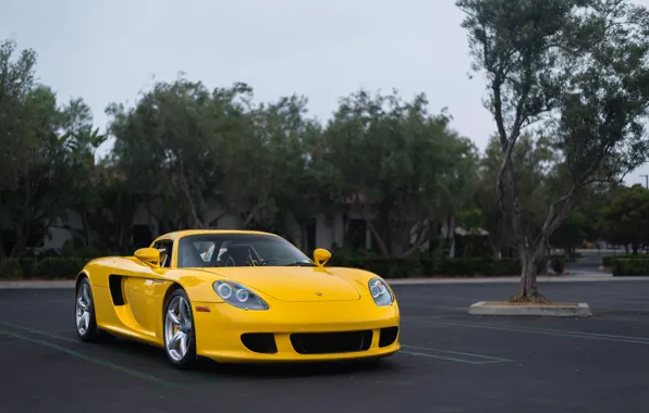 Picture Porsche, Carrera, Yellow