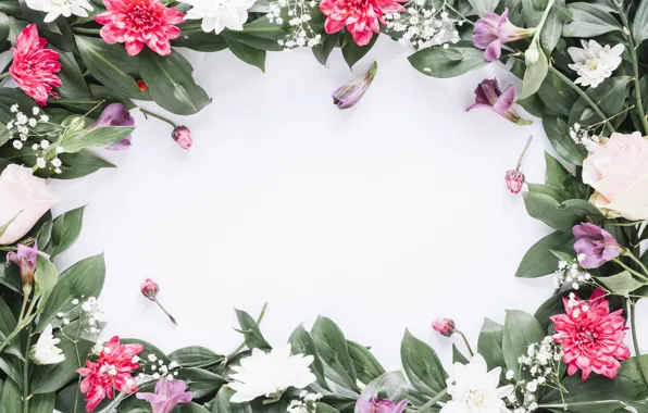 Picture flowers, frame, colorful, pink, flowers, frame, floral