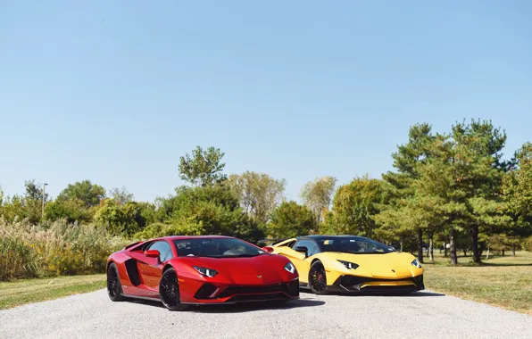 Picture Red, Yellow, Aventador
