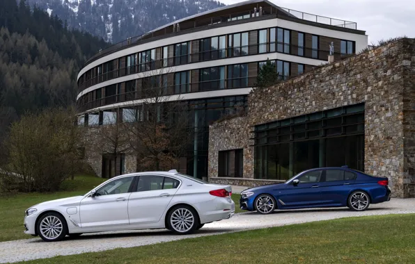 Picture white, vegetation, BMW, facade, hybrid, 5, dark blue, 2017, 5-series, G30, sedans, M550i xDrive, M-performance, …