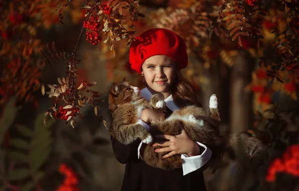 Picture autumn, cat, branches, berries, girl, takes, Rowan, Алина Иванова