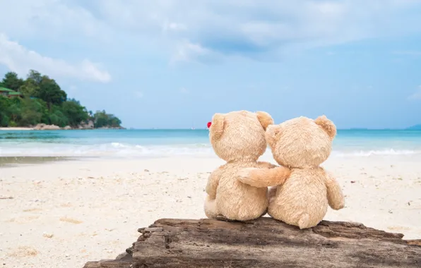 Picture sand, sea, beach, love, toy, bear, bear, pair, Board, love, two, beach, bear, sea, romantic, …