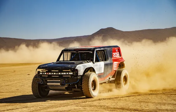 Picture sand, movement, Ford, dust, 2019, Bronco R Race Prototype