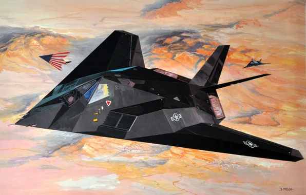 Picture USAF, subsonic tactical, F-117 Nighthawk, stealth attack fighter