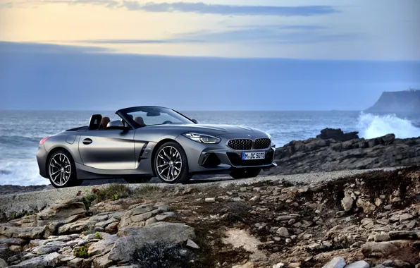 Picture water, grey, shore, BMW, Roadster, BMW Z4, M40i, Z4, 2019, G29