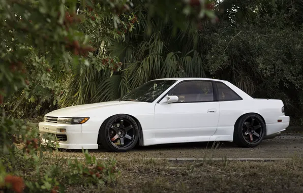 Picture Silvia, Nissan, s13