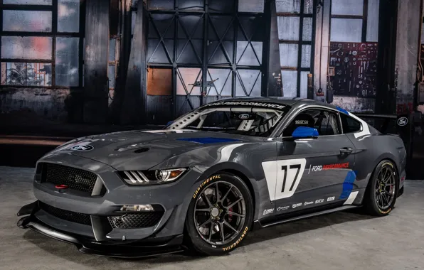 Picture Muscle, Race, Ford Mustang, Gray, GT4, Vehicle