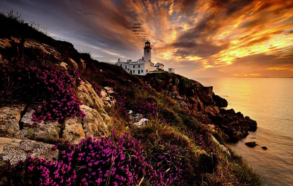 Picture sea, landscape, rocks, dawn, lighthouse, morning, Ireland, Donegal, Fanad Head Lighthouse, County Donegal