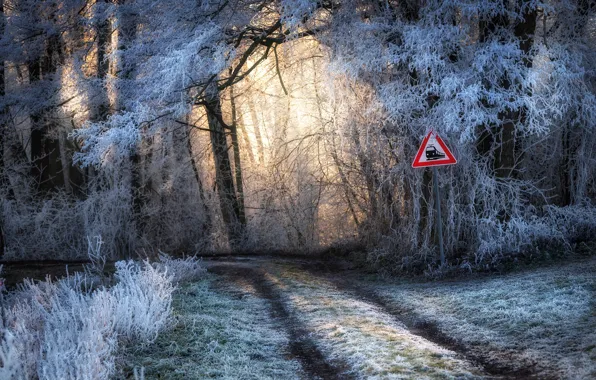 Picture winter, road, forest, sign