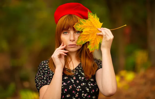 Picture autumn, look, girl, face, background, mood, hands, red, maple leaf, redhead, takes, Victoria Gerasimenko, Agnia …