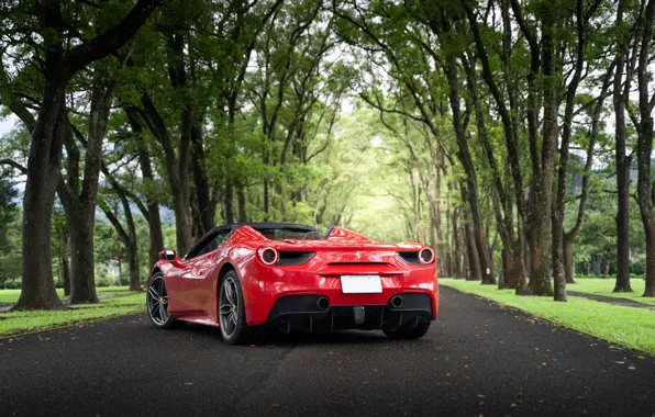Picture road, trees, red, sports car, Ferrari 488 Spider
