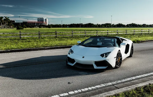 Picture Lamborghini, Predator, White, Aventador, VAG, Sight