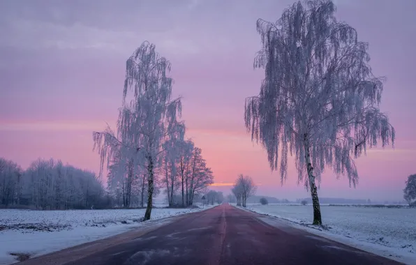 Picture winter, road, field, snow, trees, dawn, morning, Poland, frost