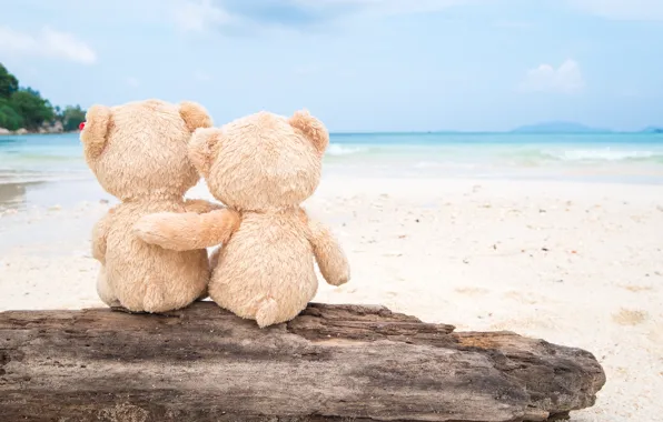 Picture sand, sea, beach, love, toy, bear, bear, pair, Board, love, two, beach, bear, sea, romantic, …