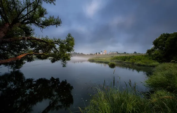 Picture summer, trees, landscape, branches, nature, fog, river, morning, grass, the monastery, Bank, Andrei, Mozhaysk
