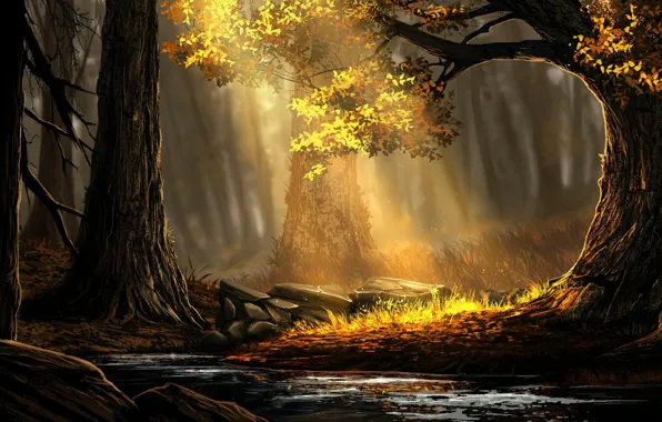 Wallpaper Trees, Forest, Light, Art, Forest, Ray, Environments, Rafael ...
