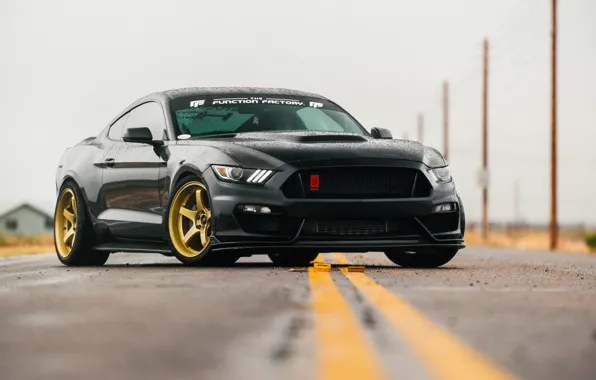 Picture Mustang, Ford, Ford Mustang, tuning