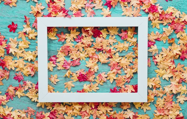 Picture autumn, leaves, background, Board, colorful, maple, wood, background, autumn, leaves, autumn, maple