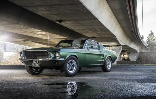 Picture asphalt, Mustang, Ford, puddles, 1968, GT 390, Bullitt