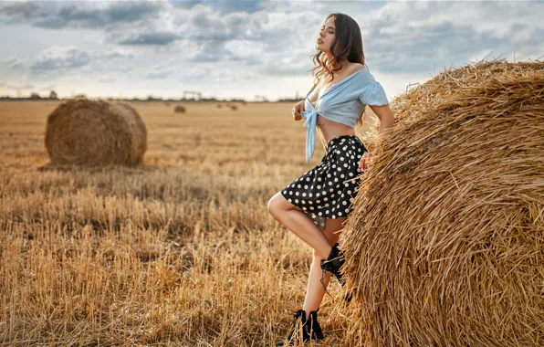 Picture field, girl, nature, pose, skirt, shoes, hay, blouse, brown hair, curls, Alexey Yuriev