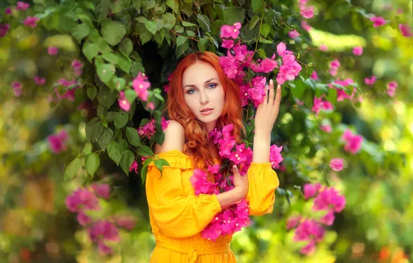 Picture look, girl, flowers, pose, portrait, hands, red, redhead, bougainvillea, Hakan Erenler, Anna Battle