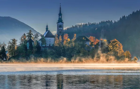Picture autumn, landscape, nature, fog, lake, morning, Church, forest, Slovenia, Lake bled, Bled