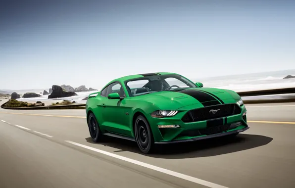 Picture coast, speed, Ford, Fastback, 2018, Mustang GT