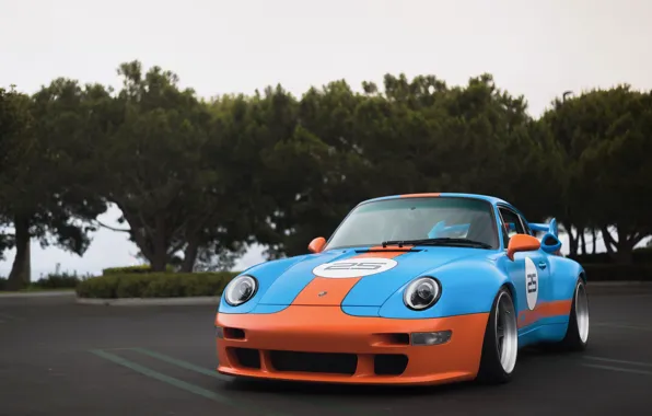 Picture 911, Porsche, GT2, 993